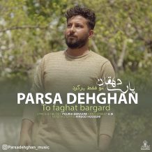 دانلود آهنگ جدید پارسا دهقان به نام تو فقط برگرد